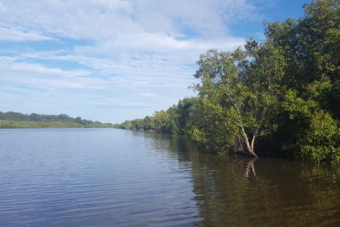 Tuckean Swamp, NSW