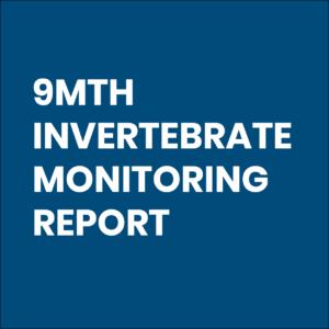 SEPTEMBER 2018 - Pumicestone Passage Shellfish Reef Habitat Restoration Project – 9 Month Invertebrate Monitoring 
