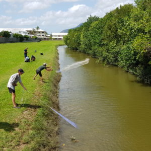 OCTOBER 2020  |  Citizen scientists and researchers check fish populations in the Saltwater Creek catchment