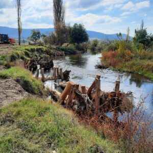 JUNE 24 2021 | Local fishers support recovery of Cudgewa Creek 