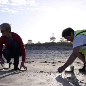 30 January 2022  |  Underwater gardeners replanting Adelaide’s seagrass