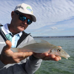 APRIL 2022  |   OzFish to lead Lake Macquarie fish habitat restoraton