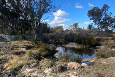Washpool Creek, NSW 2023