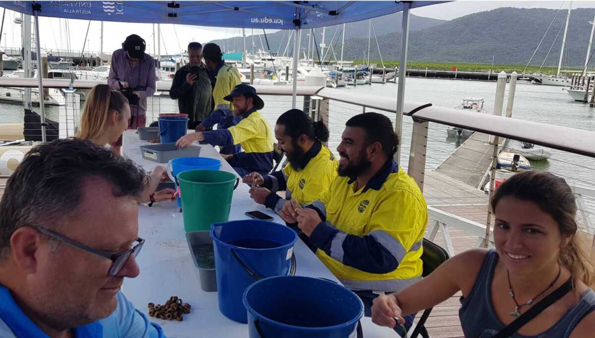 Volunteers needed to ensure Cairns seagrass restoration project continues to grow 