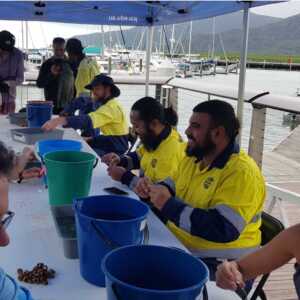 26 AUGUST 2023 | Volunteers Needed To Ensure Cairns Seagrass Restoration Project Continues To Grow 