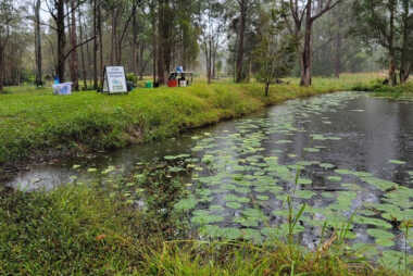 Bonville Creek, NSW 2023