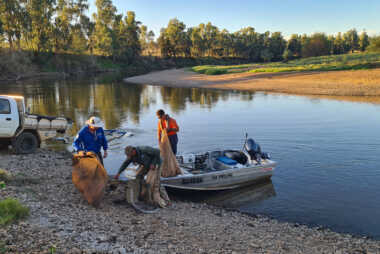 Wambuul Macquarie River Revitalisation
