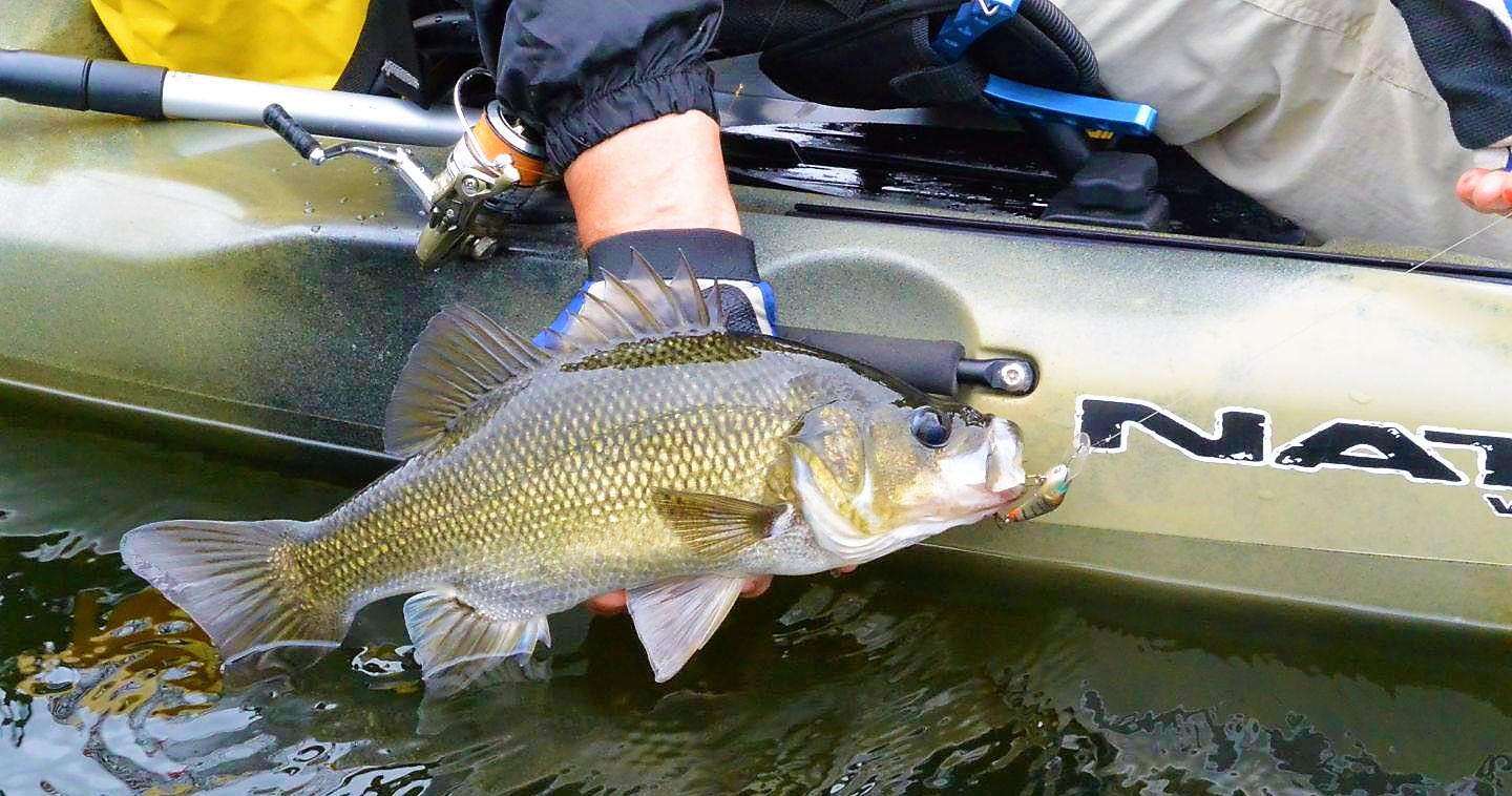 Pre and Post Spawning Bass Fishing Tactics