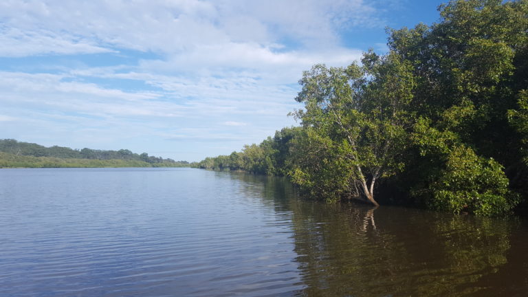 Tuckean Swamp, NSW