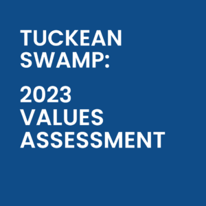 MARCH 2023 - VALUES ASSESSMENT