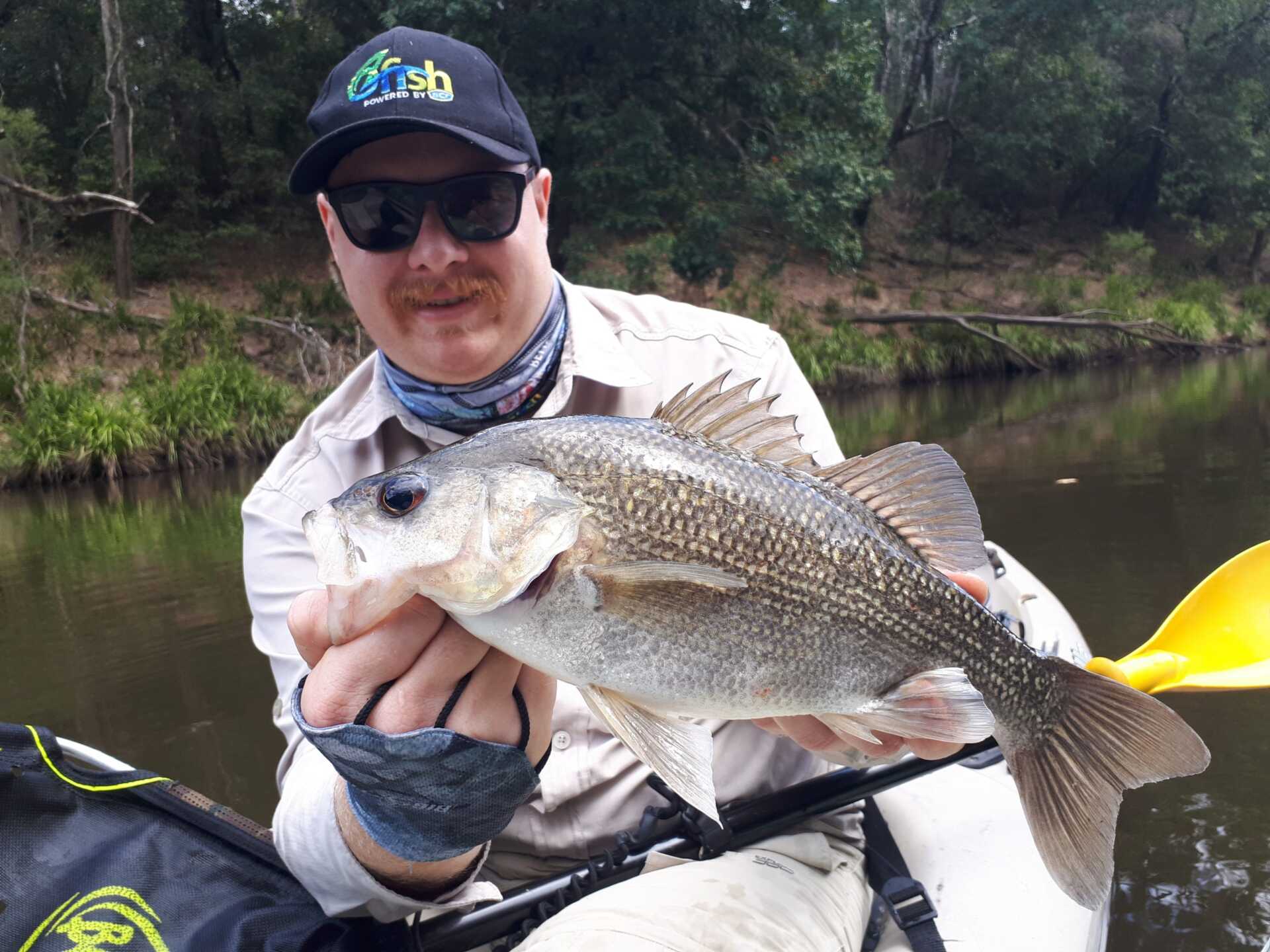 Coomera River - Australia, Gold Coast, Queensland, South East Queensland -  Fishing Spots