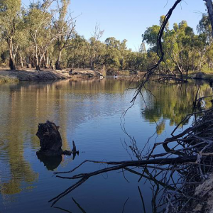 An opportunity lost in the Murray-Darling Basin