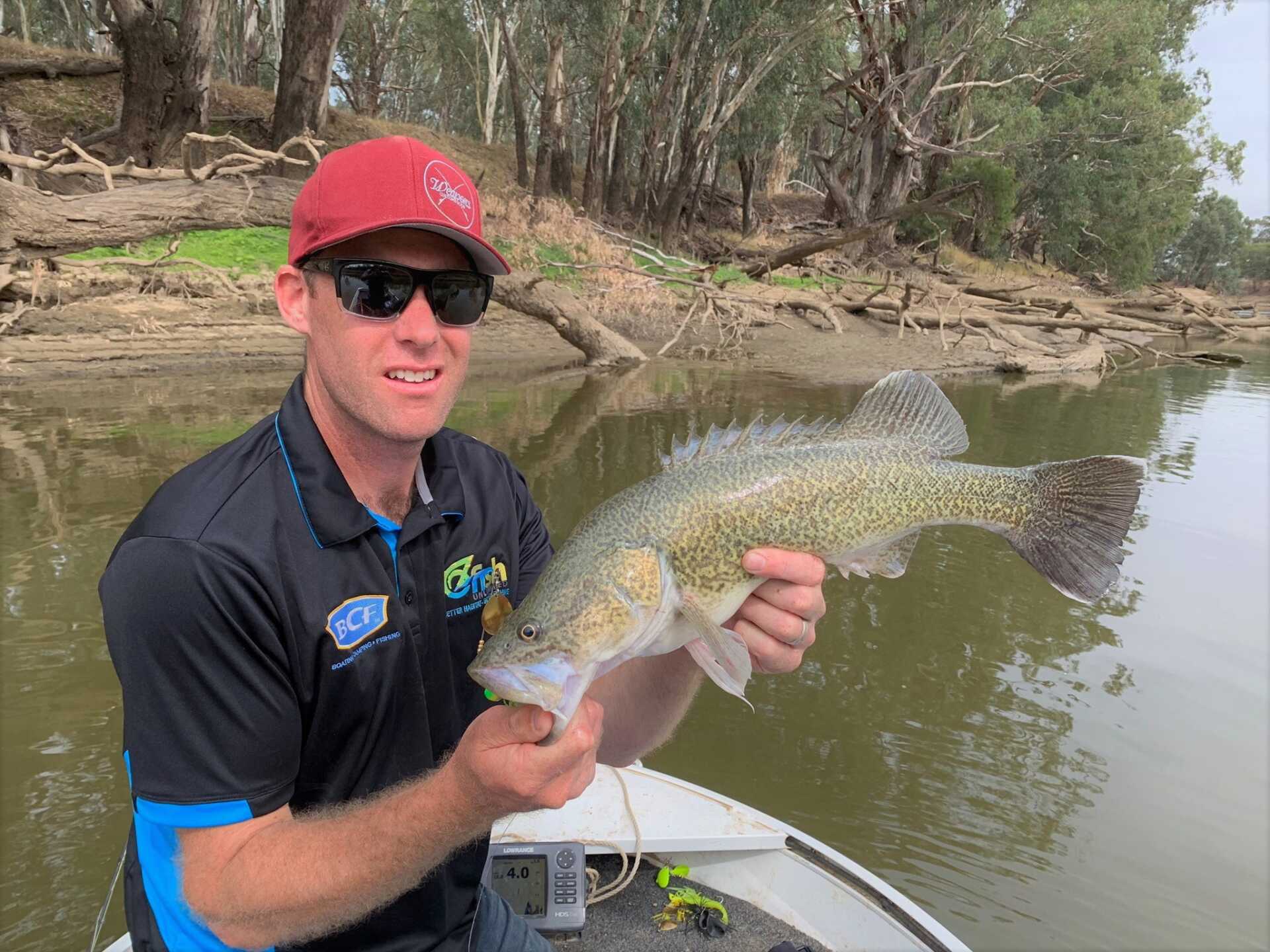 Complete Guide – Murray Cod & Golden Perch in Rivers – Social Fishing