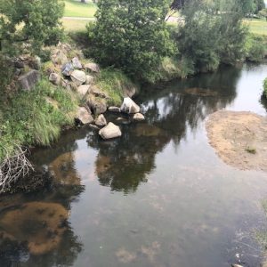 Big hopes for Tenterfield creek as Restoration Work Commences - October 2019