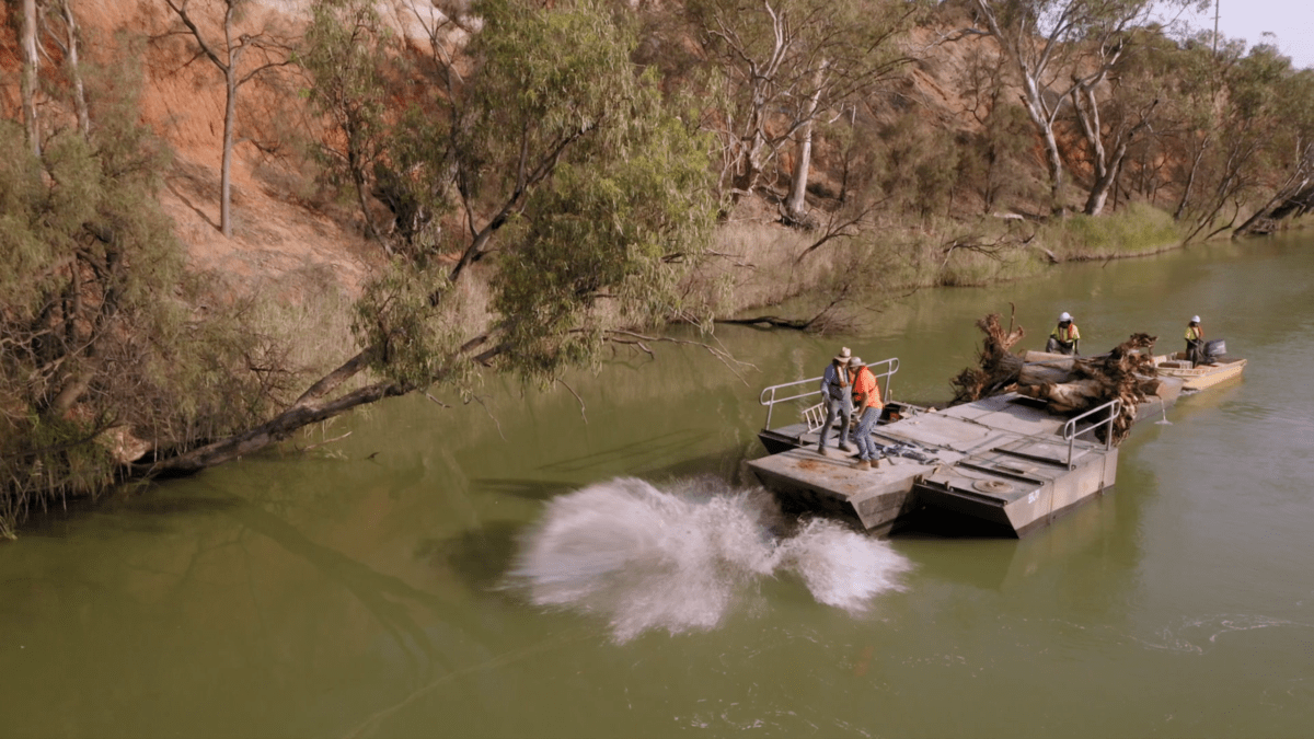 More snags in the Murray River means more fish - Ozfish Unlimited