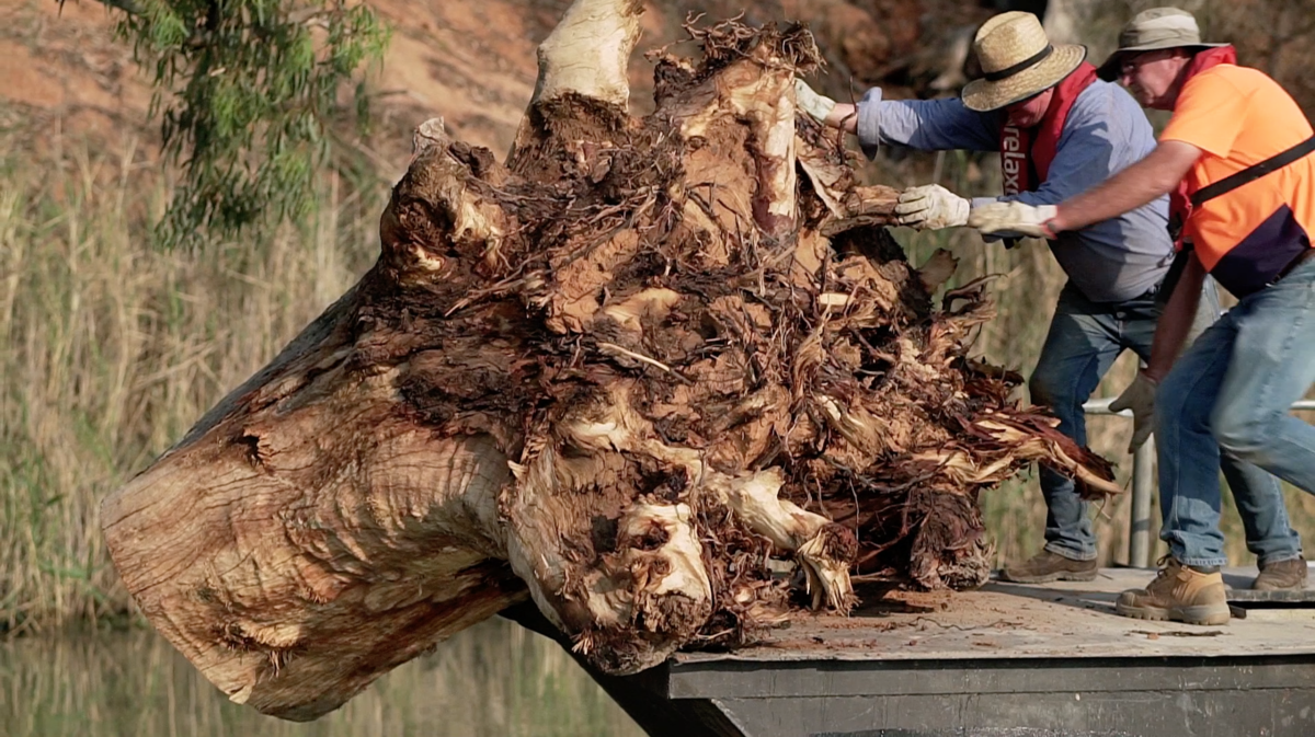 Murray River Resnagging OzFish Unlimited