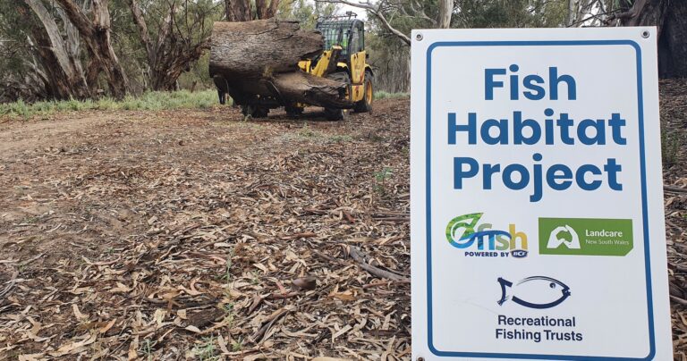 Lower Darling fish habitat to get boost