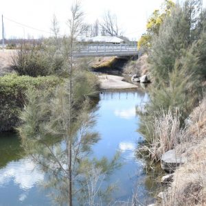 3K stretch of Tenterfield Creek set for $48,000 facelift - August 2019