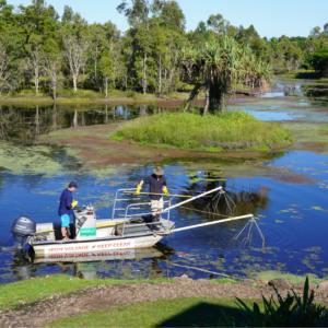 Baseline Fish Surveys for TYTO Wetlands