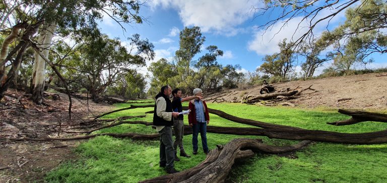 Potterwalkagee Creek, Murray River, VIC