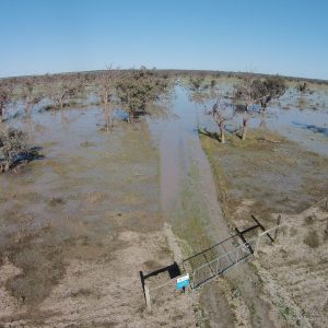 Bottle Bend Reserve To Get New Fence For Fish