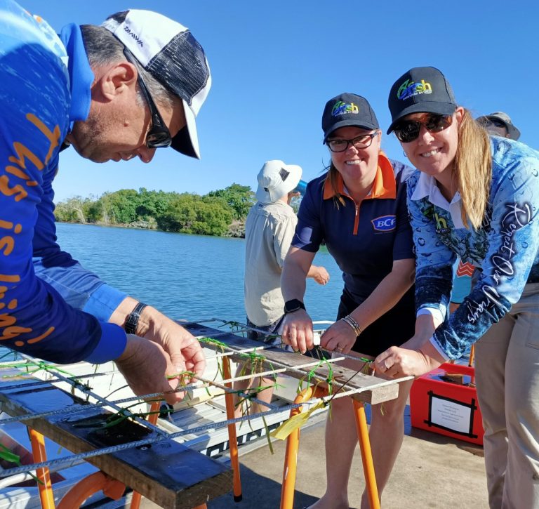 Seagrass restoration kick started at Mourilyan Harbour Innisfail