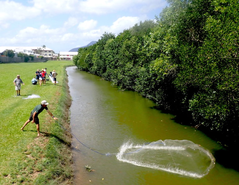 Citizen scientists and researchers check fish populations in the Saltwater Creek catchment