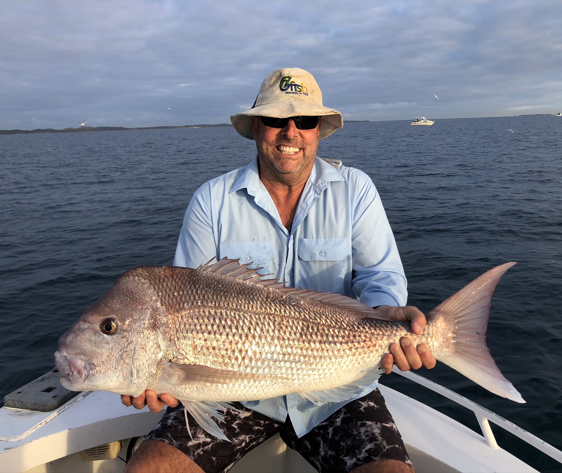 Restoring habitat for pink snapper with a million seeds