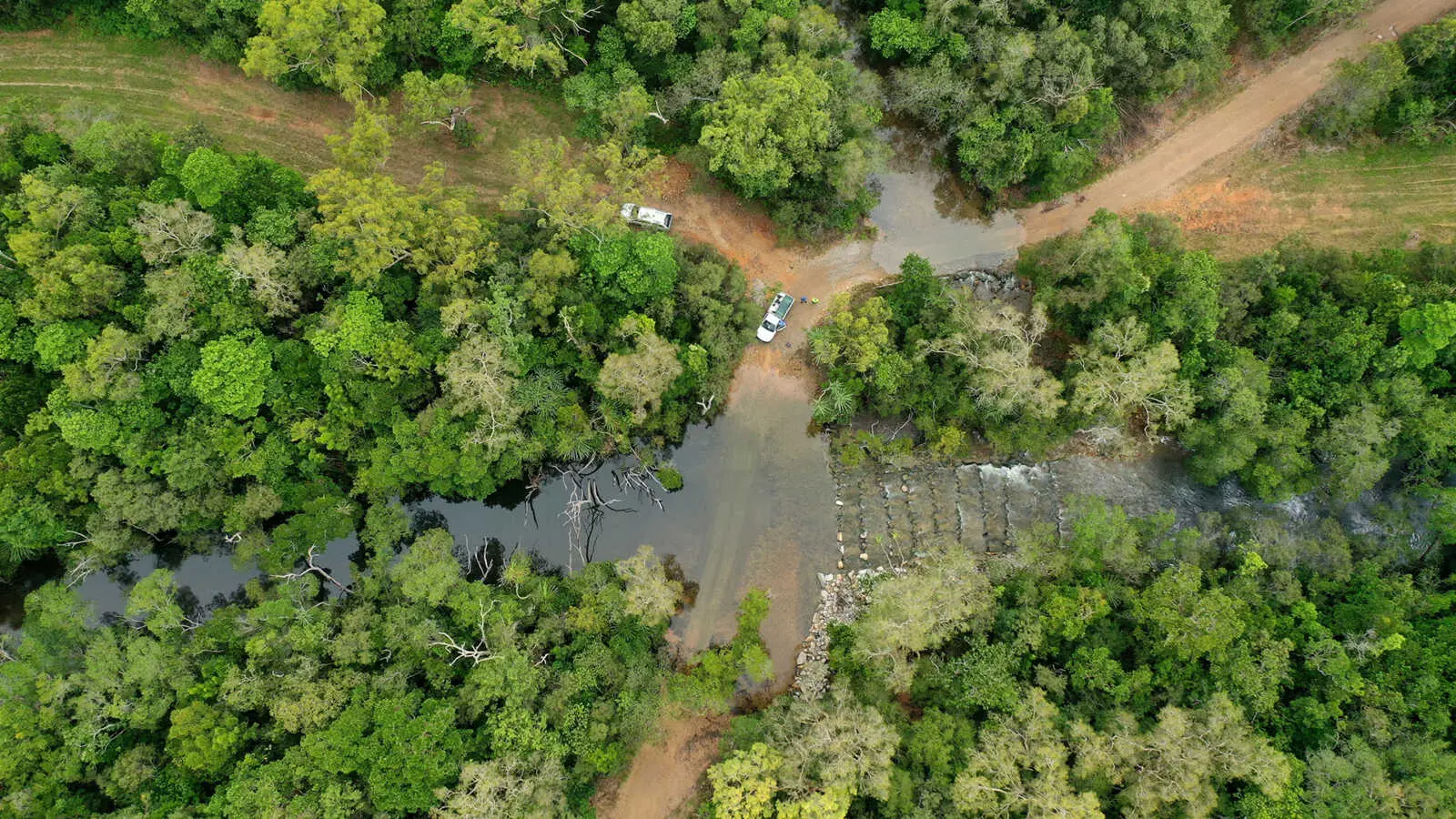 an overhead shot of trees grouped together with water flowing in between