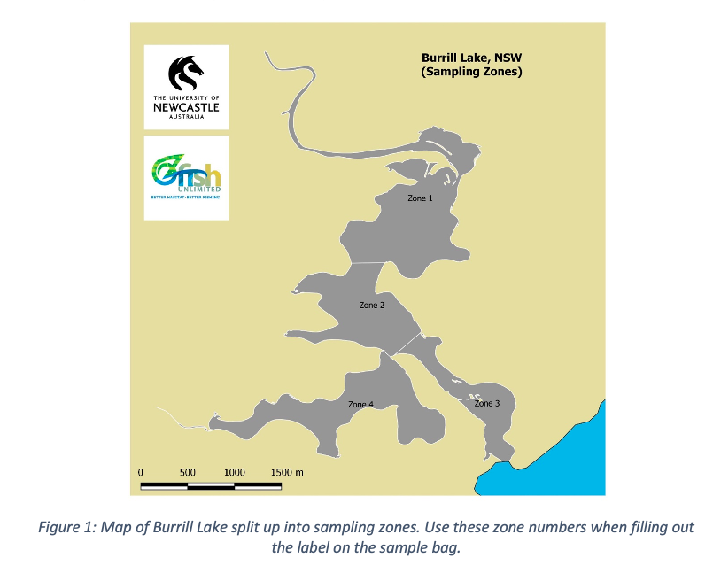 A map of Burrill Lake split up into sampling zones