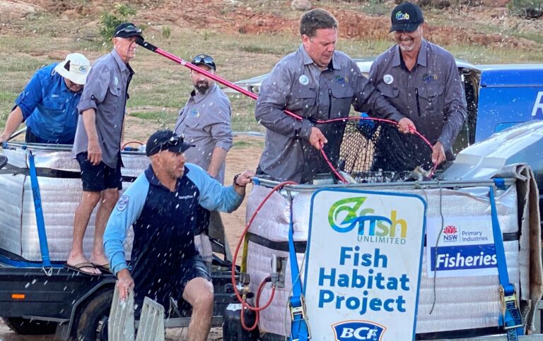 OzFish support native fish rescue and relocation on the Lachlan River