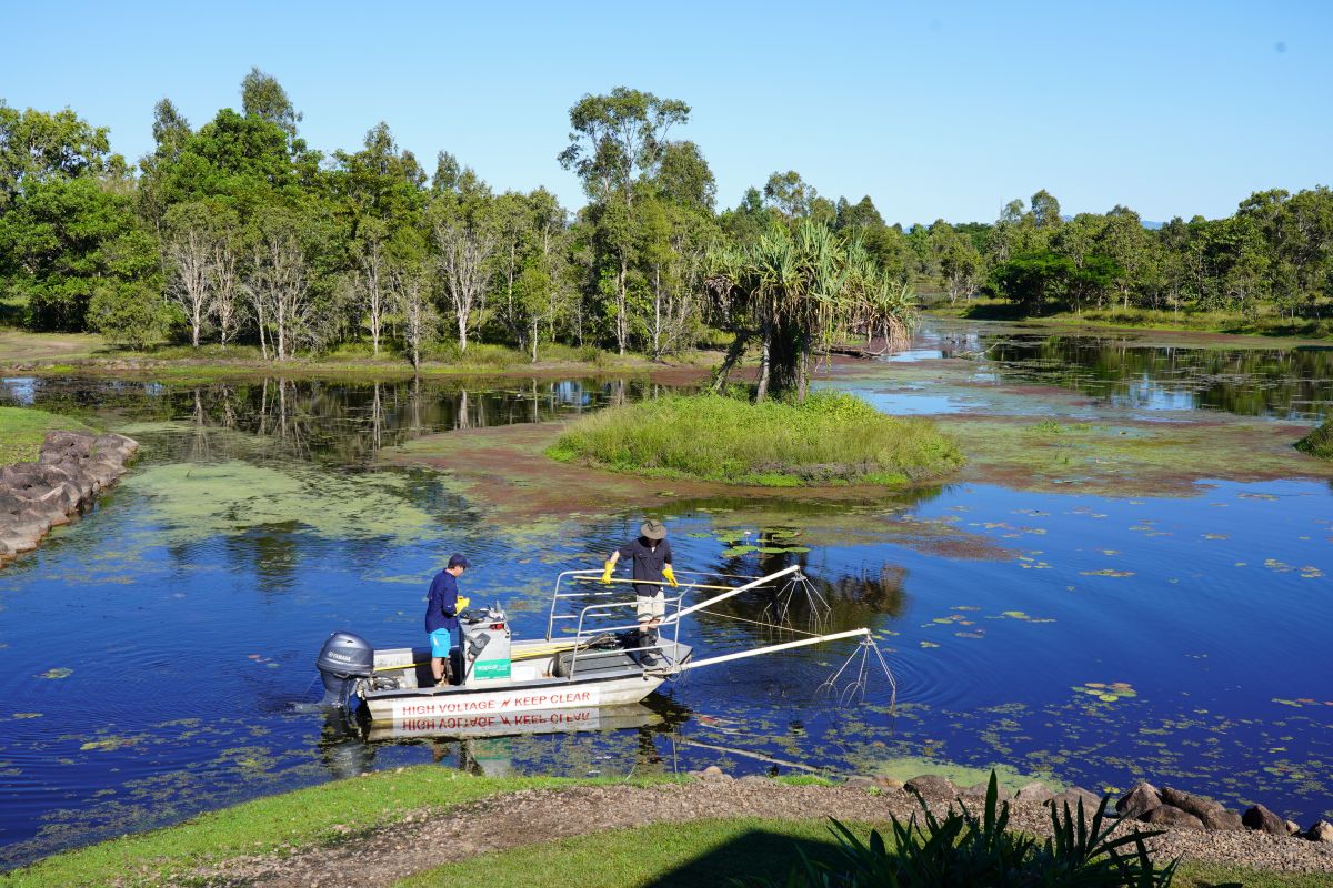 A boat in a waterway with people doing fish surveys
