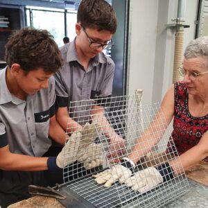 16 DECEMBER 2020 | Students help restore shellfish reefs in Moreton Bay