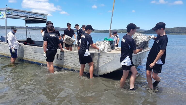 Students help restore shellfish reefs in Moreton Bay
