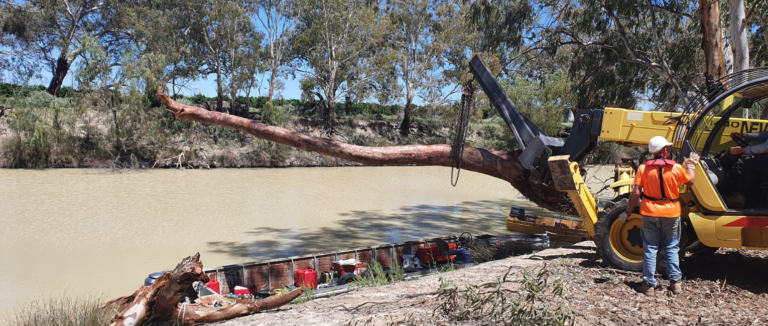Installation of fish habitat in the Lower Darling River at Bellevue station