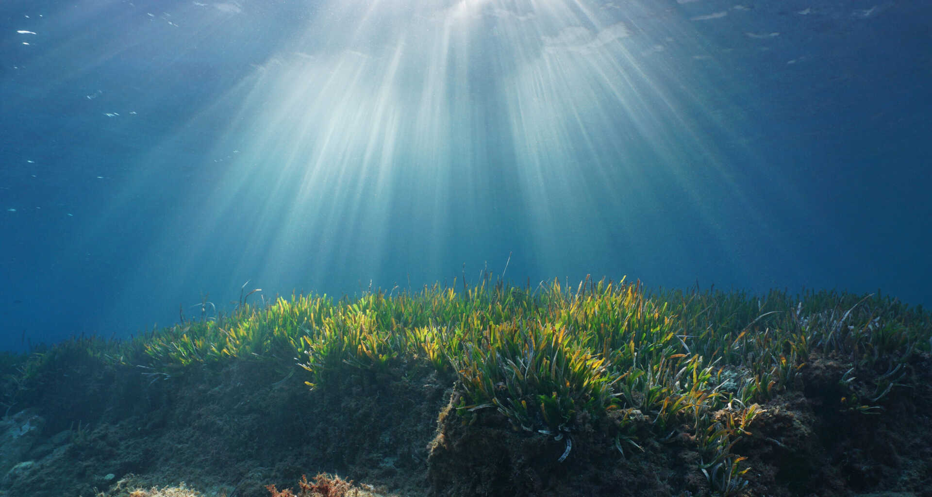 Natural sunbeams underwater in Mediterranean sea