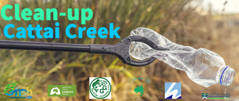Cattai Creek Hawkesbury Valley Flood Recovery Clean-Up