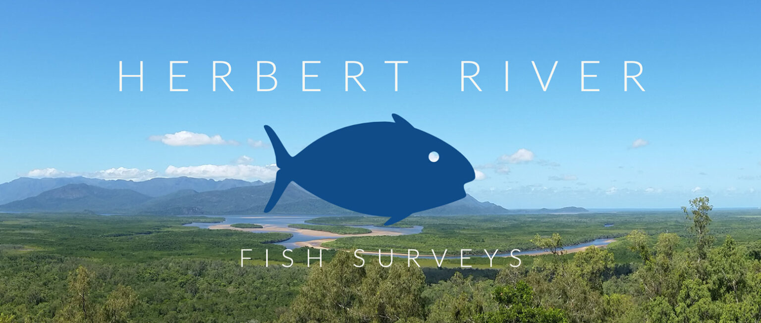 Herbert River Fish Surveys - OzFish Unlimited