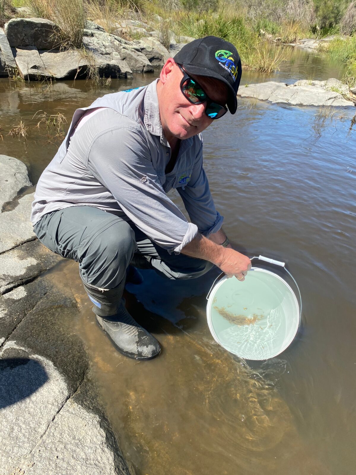 Harry from OzFish releasing some Southern Purple Spotted Gudgeon fingerlings at Tenterfield NSW