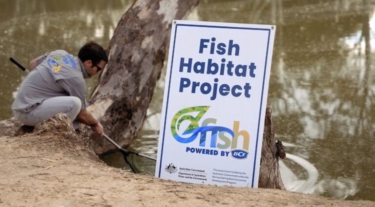 OzFish volunteers salvage critically endangered fish species 