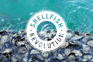 Shellfish Revolution