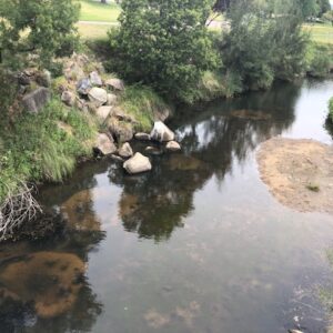 Big hopes for Tenterfield Creek as restoration work commences