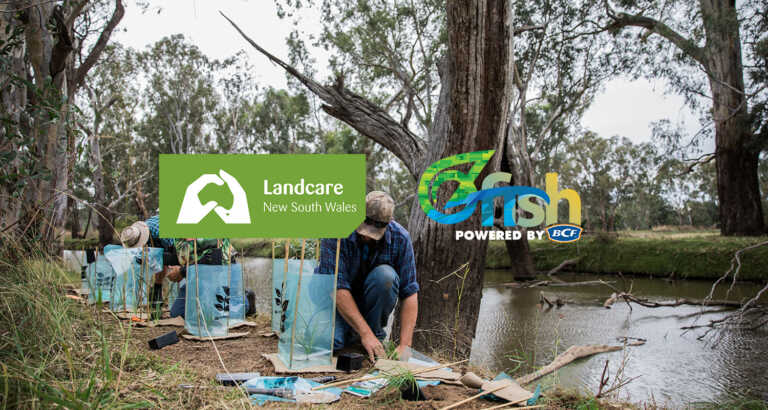 Landcare NSW Partnership