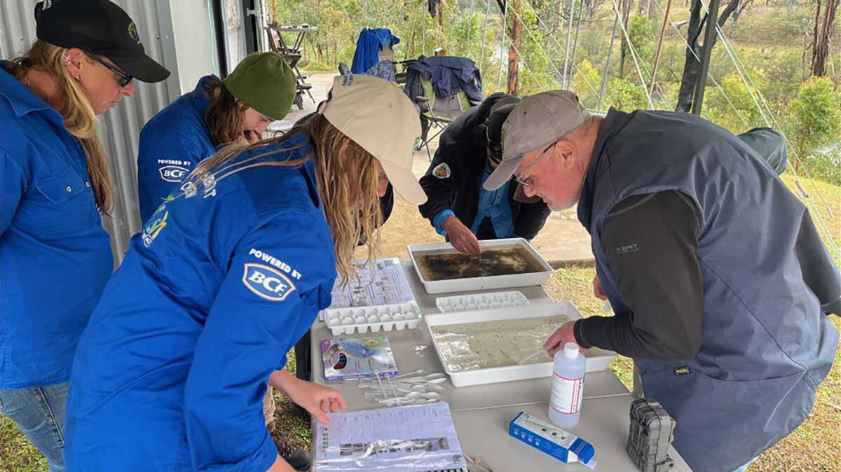 Waterway Fire Science monitoring at the Nymboida River