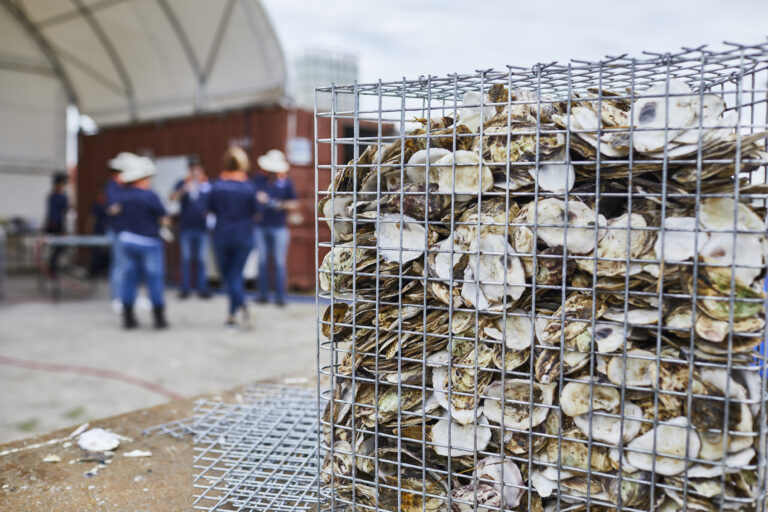 How the shellfish revolution works