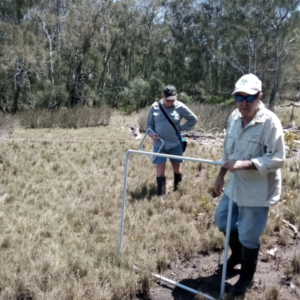APRIL 2022   |   How and why we monitor saltmarsh