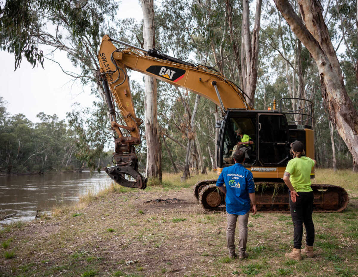 Murrumbidgee River Restoration 2022