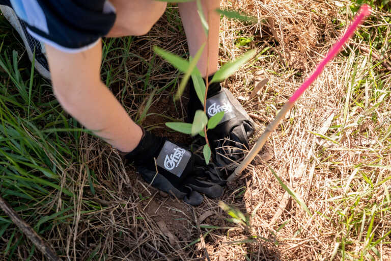 Working together to create healthy habitats