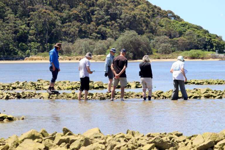 Wagonga Inlet Oyster Reef Restoration, NSW