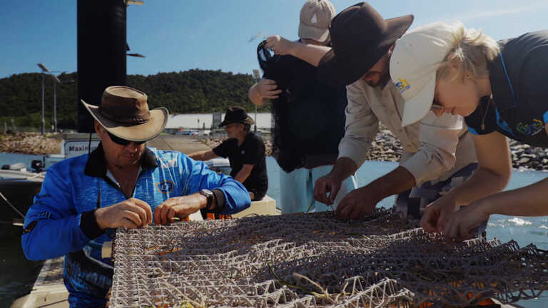 Seagrass Restoration, Mourilyan Harbour QLD